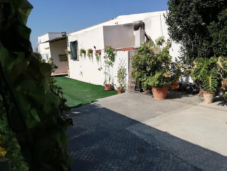 La Casa In Campagna Di Ottavia Alezio Exterior foto
